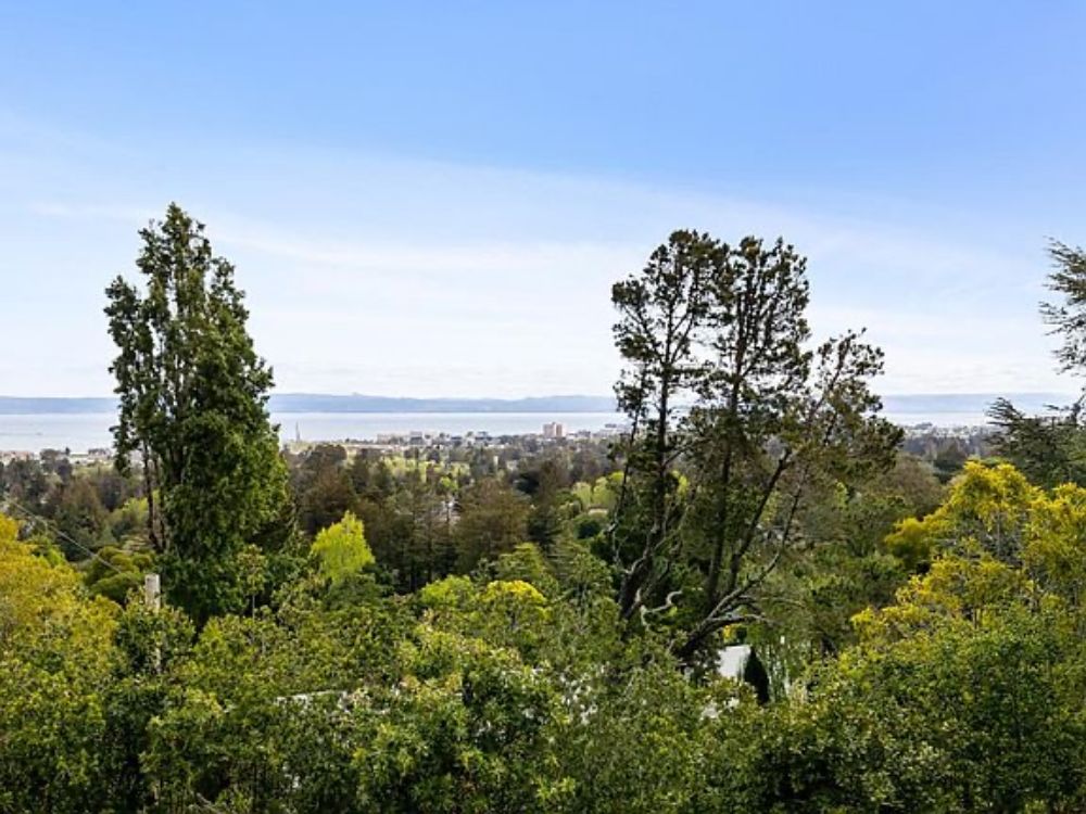 图片 美国加州弯景豪宅$10,000抵用券